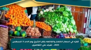 قفزة في أسعار الخضار والفاكهة بكفر الشيخ يوم الأحد 3 أغسطس 2025.. تعرف على التفاصيل